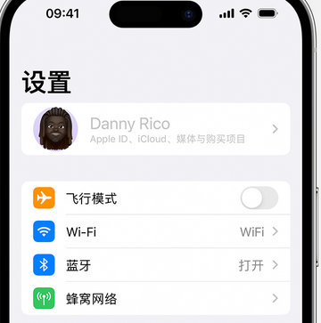 金江镇appleID维修服务iPhone设置中Apple ID显示为灰色无法使用