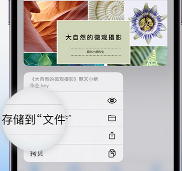 金江镇apple维修中心分享iPhone文件应用中存储和找到下载文件