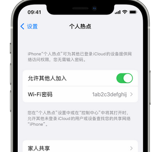 金江镇apple服务站点分享iPhone上个人热点丢失了怎么办 