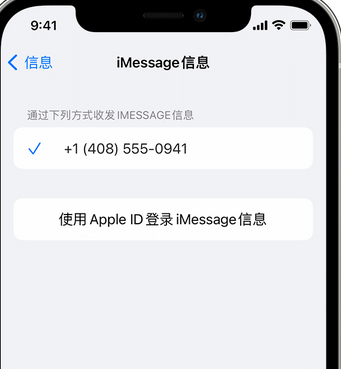 金江镇apple维修iPhone上无法正常发送iMessage信息 