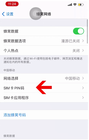 金江镇苹果14维修网分享如何给iPhone14的SIM卡设置密码 