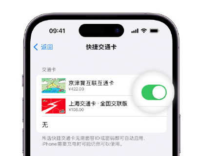 金江镇apple维修点分享iPhone上更换Apple Pay快捷交通卡手绘卡面 