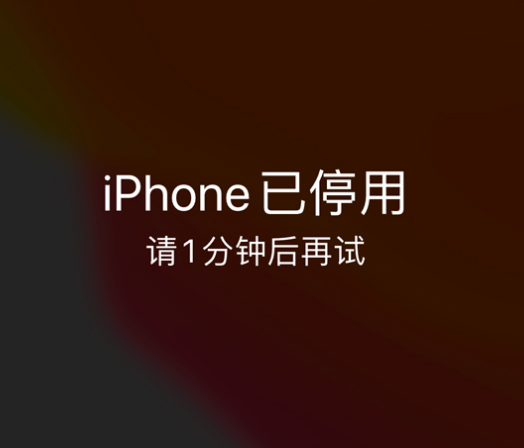 金江镇苹果手机维修分享:iPhone 显示“不可用”或“已停用”怎么办？还能保留数据吗？ 