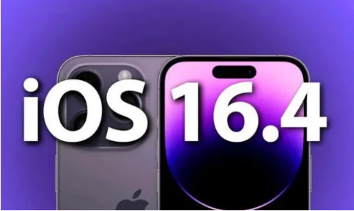 金江镇苹果14维修分享：iPhone14可以升级iOS16.4beta2吗？ 