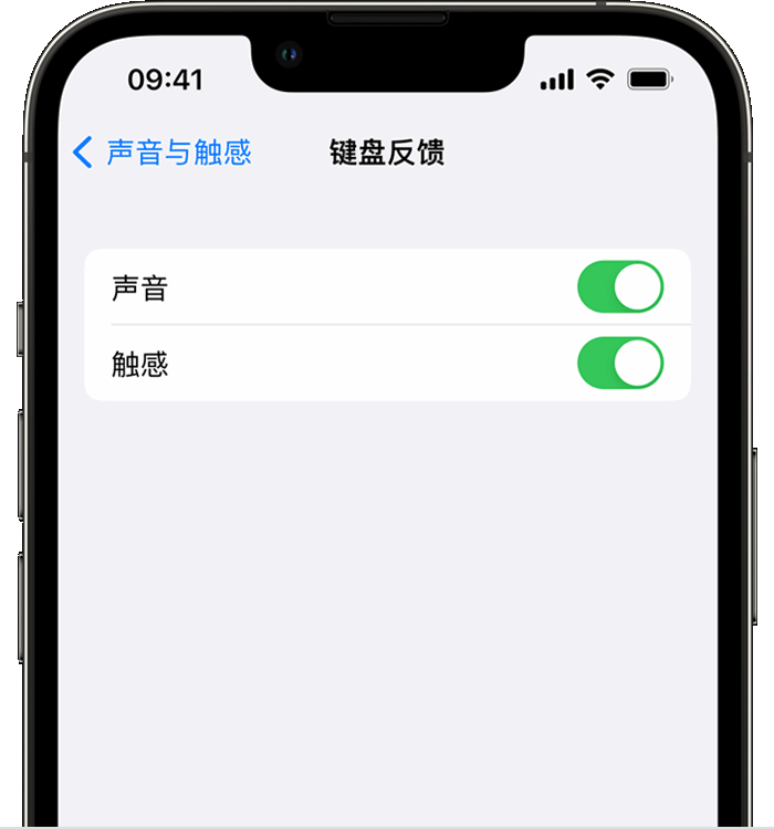 金江镇苹果14维修店分享如何在 iPhone 14 机型中使用触感键盘 