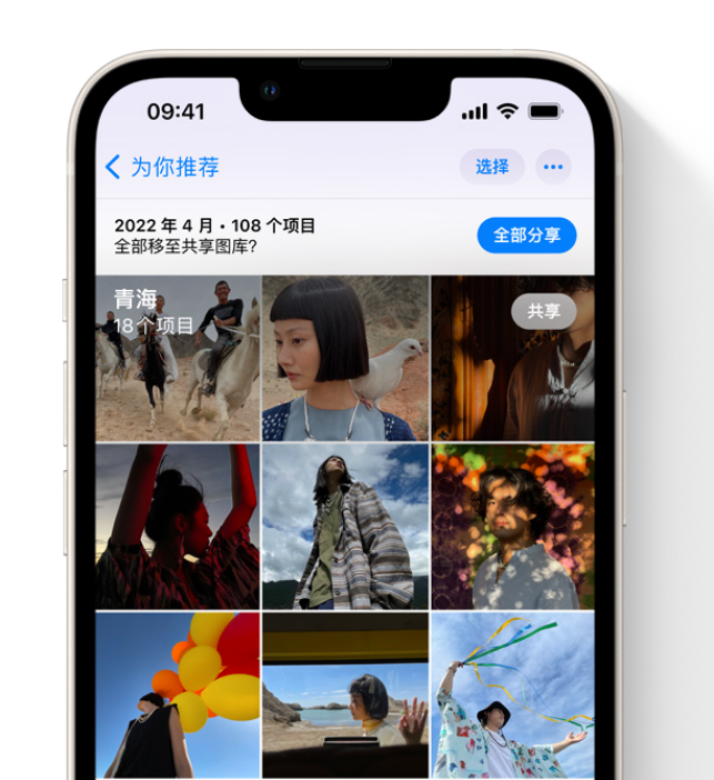 金江镇苹果维修网点分享在 iPhone 上使用共享图库 