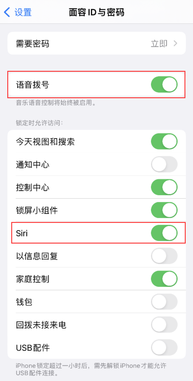 金江镇苹果维修网点分享不解锁 iPhone 的情况下通过 Siri 拨打电话的方法 