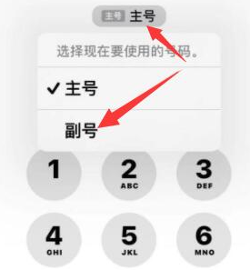 金江镇苹果14维修店分享iPhone 14 Pro Max使用副卡打电话的方法 