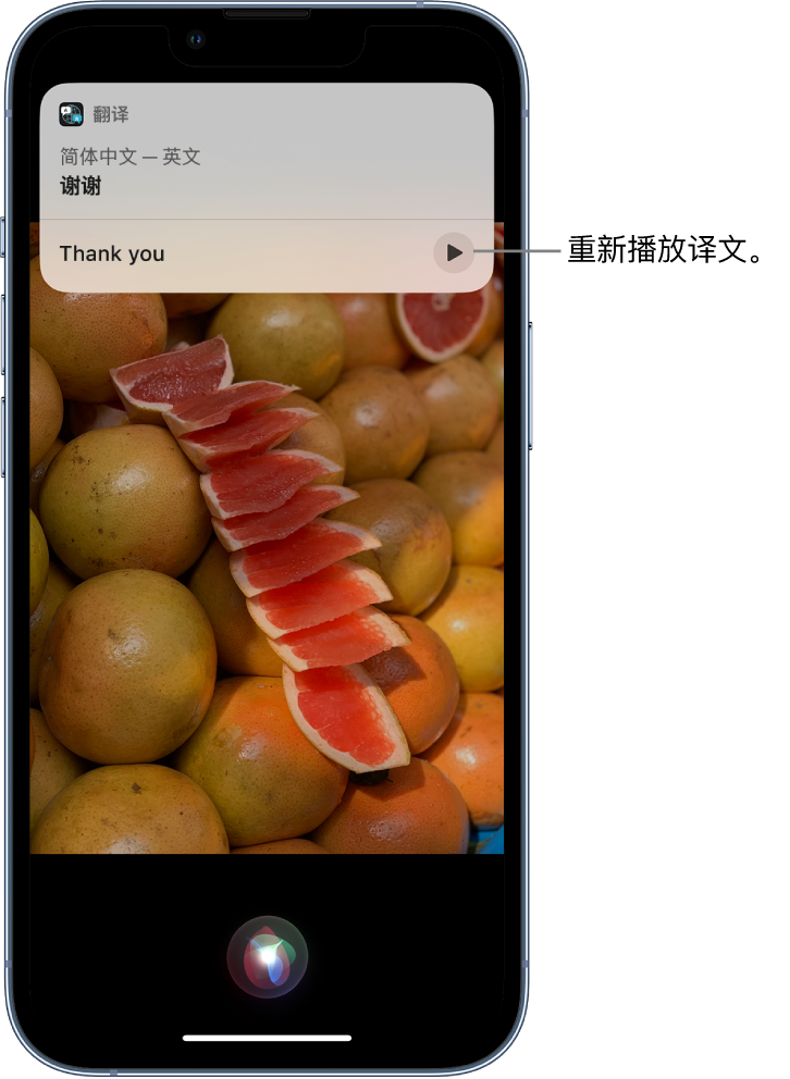 金江镇苹果14维修分享 iPhone 14 机型中使用 Siri：了解 Siri 能帮你做什么 