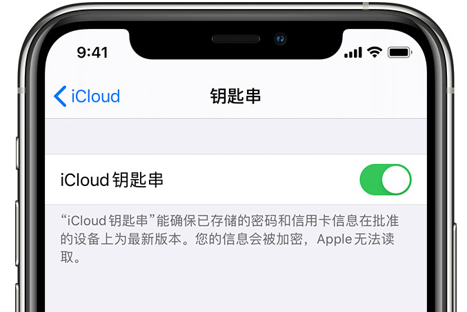 金江镇苹果手机维修分享在 iPhone 上开启 iCloud 钥匙串之后会储存哪些信息 