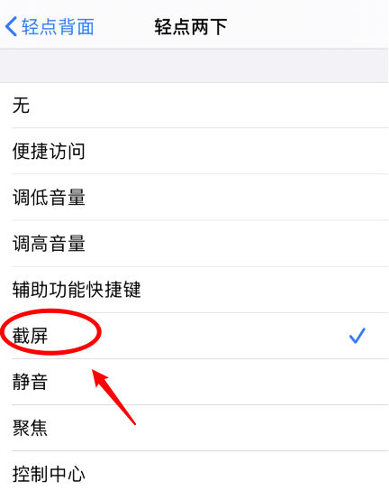 金江镇苹果手机维修分享iPhone12如何启用双击截屏 