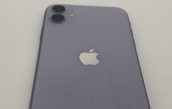 金江镇苹果11系统维修分享iPhone11手机系统崩溃无法开机如何解决